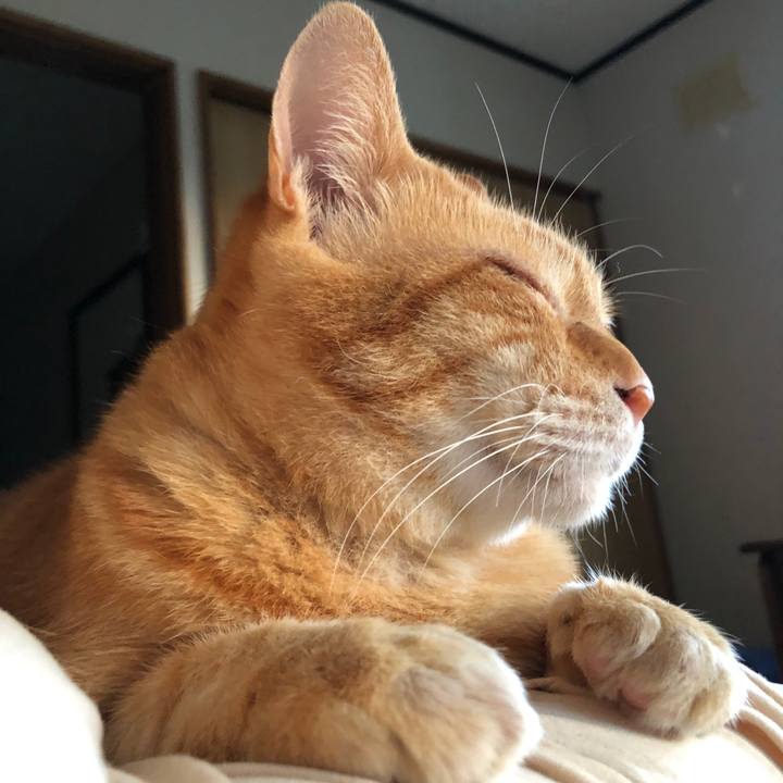 9201444b 1fad 4954 b7f1 644effc19963 1691092612428