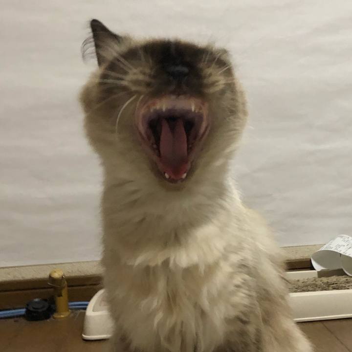 9201846f c7a8 4ba7 826c 896bef4240bd 1603106088042