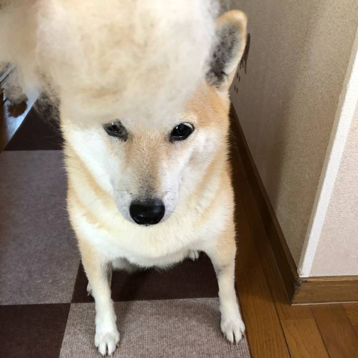 9201a7b2 47e8 4c6d 94b3 44fd579a75dc 1573134387887