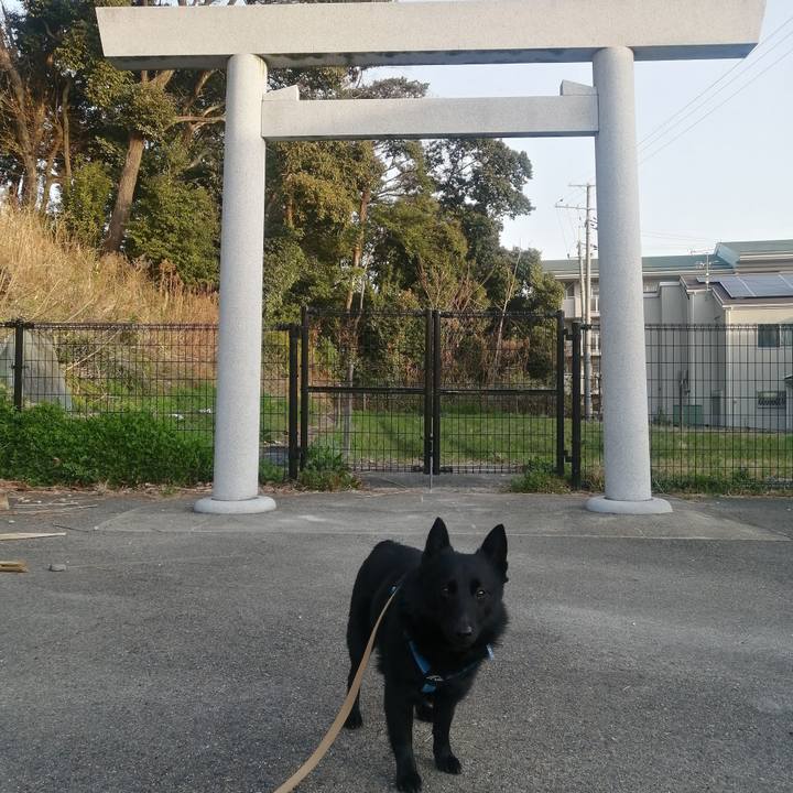 9201ac00 4aa0 4485 a89b c8634b925c27 1647467605356