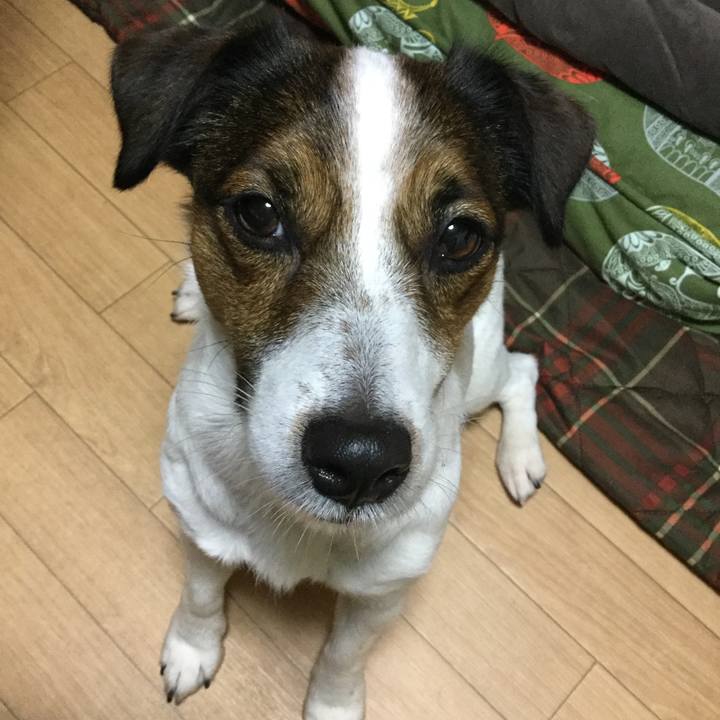 9201c039 9c30 4afc a978 4dba266bc8ed 1515751586107