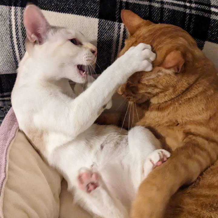 9201f42e 4664 4b24 8055 b3e9aa873e82 1697111894311