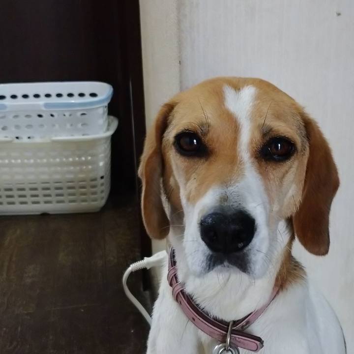 9201fd5c a4b9 4d6d b643 1acf031c9f09 1594876643003