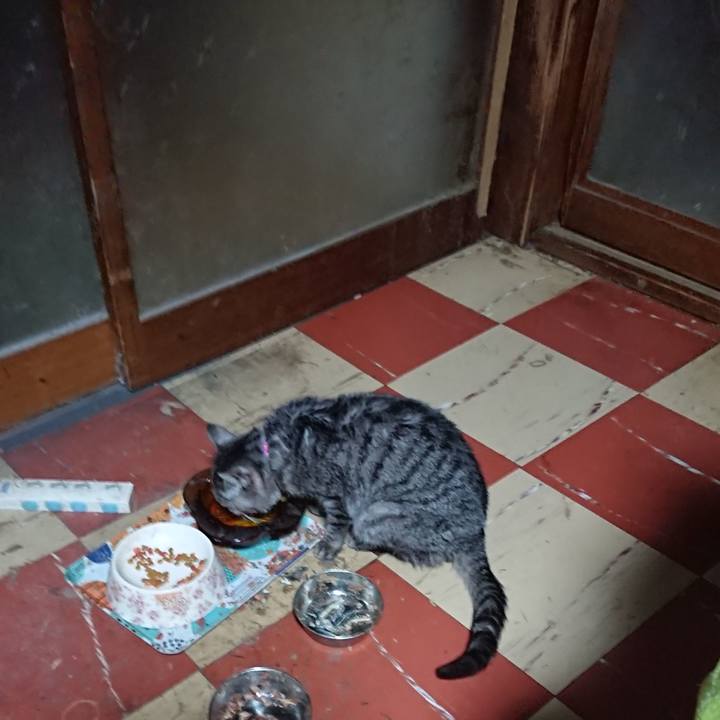 9202186d cd8e 42fb a525 1d56090207af 1583441407411