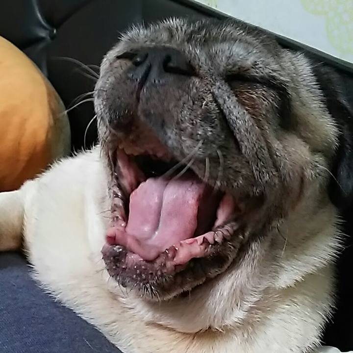 92021a99 a902 45ad 9f45 dbcfdd1739cd 1538896922821