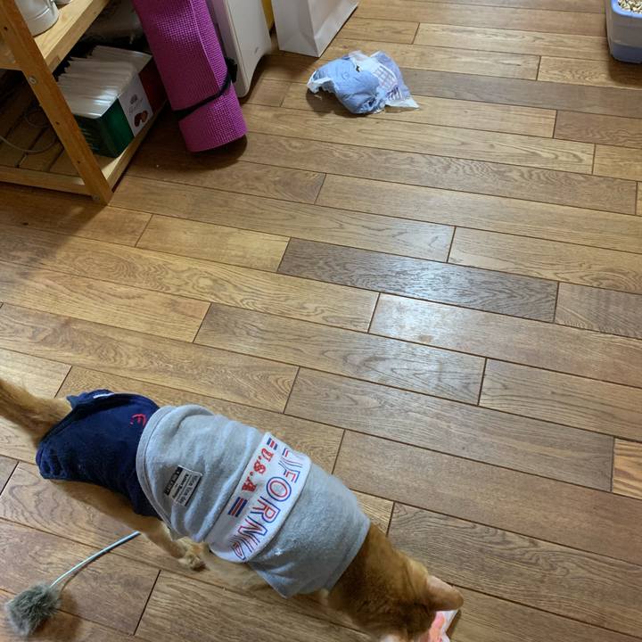 9202451c 3cb5 4c32 8394 e385dc645403 1632260726970