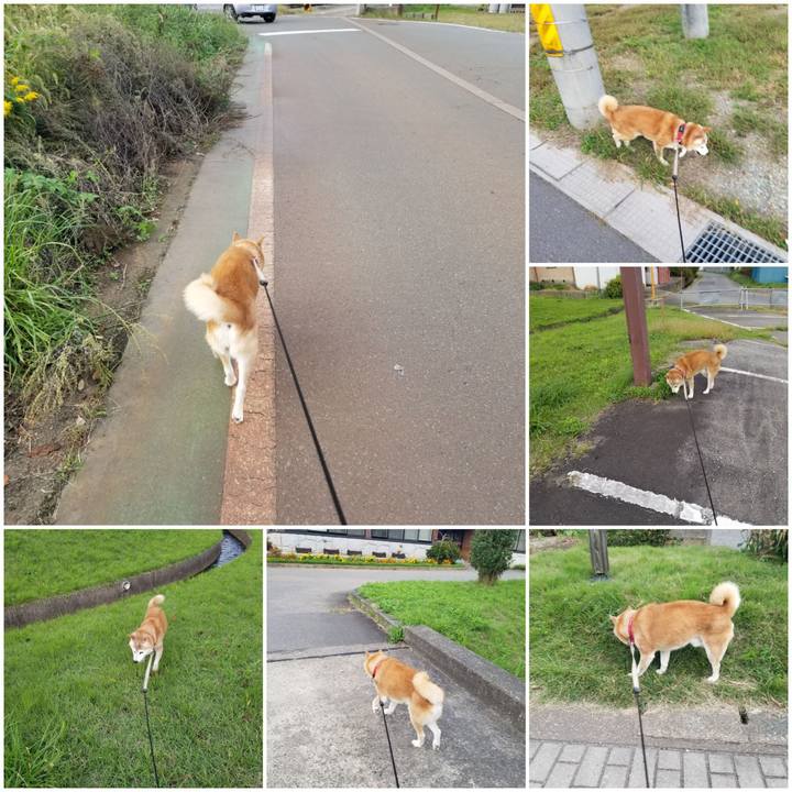 92024e11 f570 449c 9279 a8ff132a6cdf 1760256824639