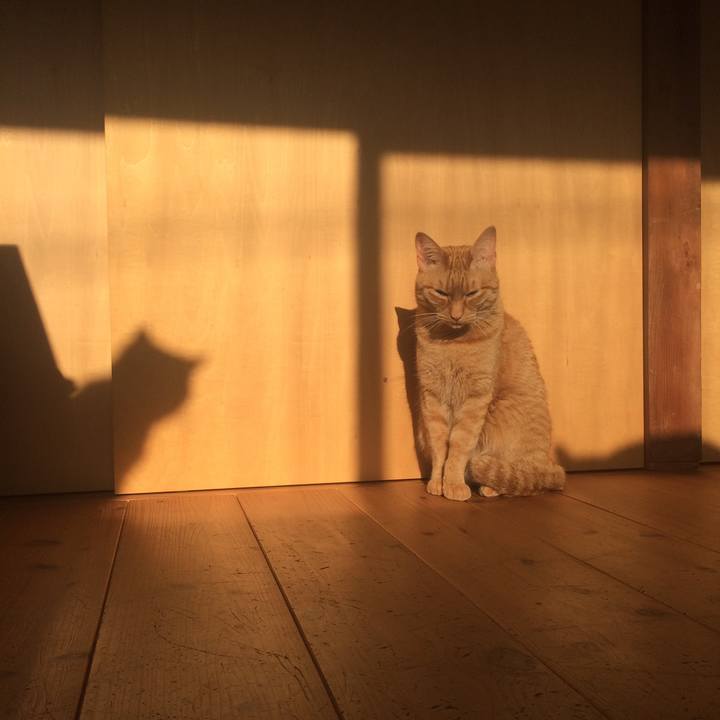 92028cd8 33ae 427d a260 9e0898d210b0 1522104581635