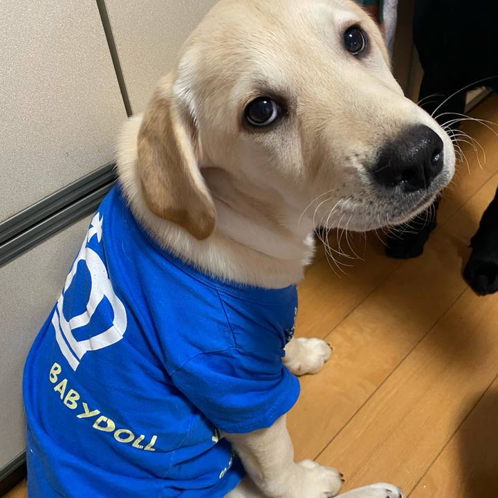 9202a707 8b0c 4b9b 9ff7 5026ba19b181 1614068092656