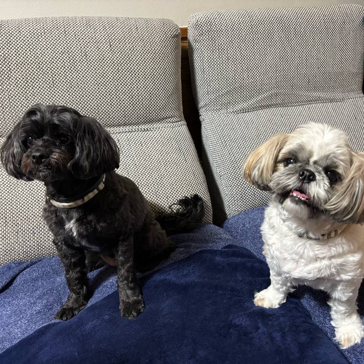 9202bd65 dcdd 46fe a201 53a0a7021b54 1762180123141