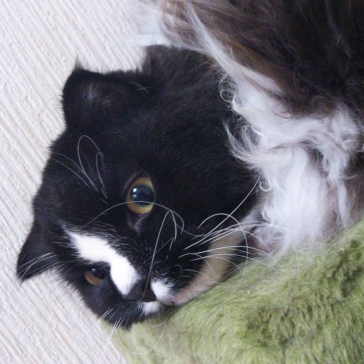 9202c8dd c6f1 4b33 ae73 7cfe3309fb5b 1663060900172