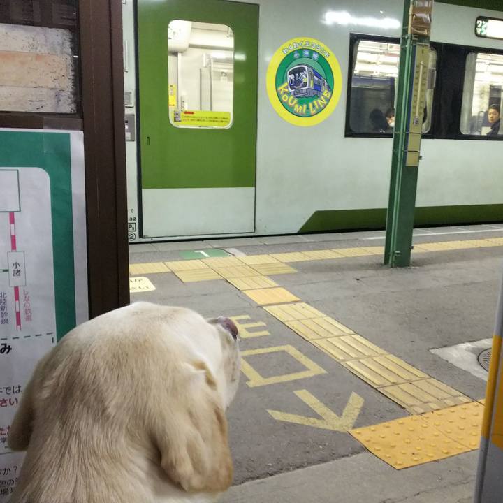 92032e61 cf1c 45a9 9fe6 b69dcea276aa 1514892762597