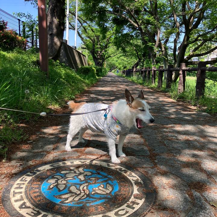 92034c98 6049 4654 a48f 2a820c99282a 1714351052769