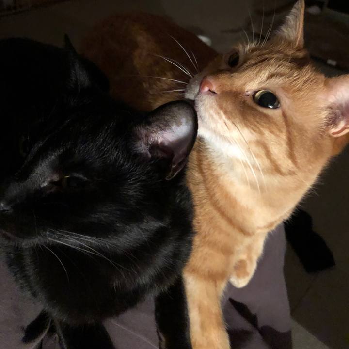 92035551 90b6 44e5 a790 f08bd39a5ff0 1675979210124