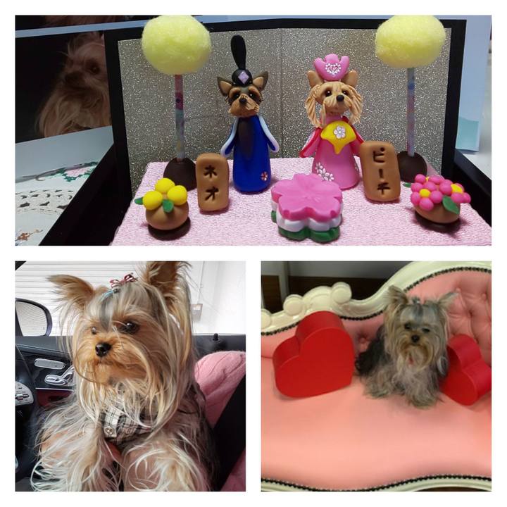 920375a1 2a2c 4a09 9870 e6b98e14cc33 1614404442237