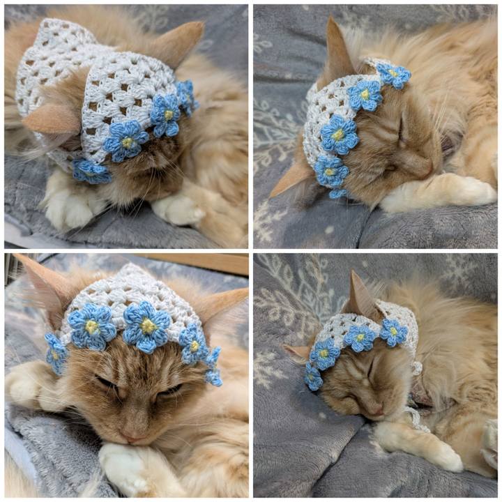 9203783b a12e 4dbe 891a eece0e080bc6 1773848569864