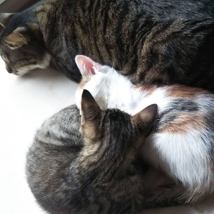 92040fd1 aedb 4bed b0e4 9780f741b7fc 1634883013903