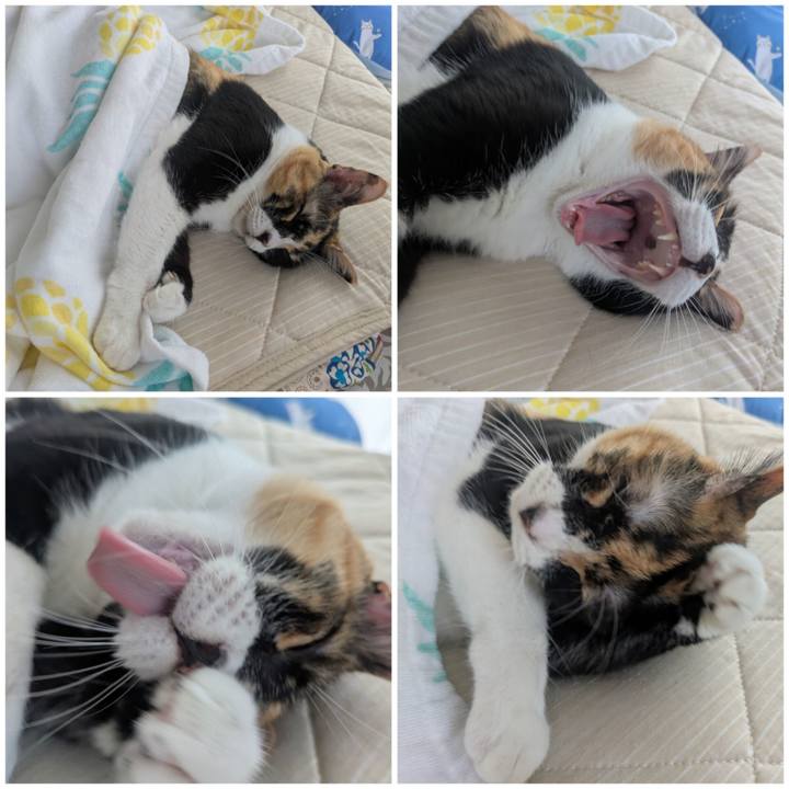 9204b639 7f0a 4fb3 afc8 583e43256f76 1759206739548