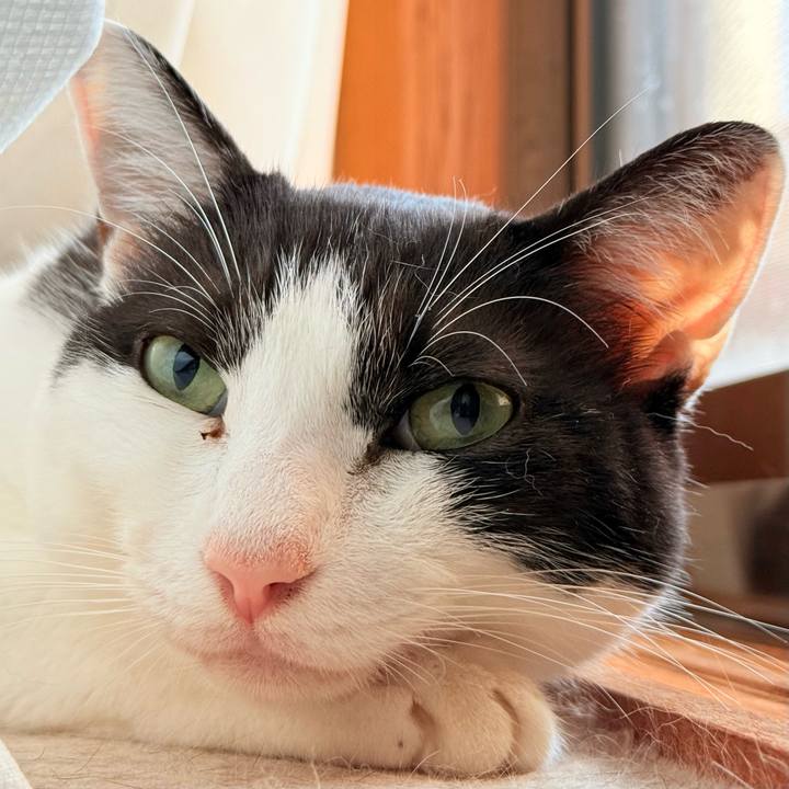 9204e990 e42e 4104 a1ca 81bd93429b06 1731373381686