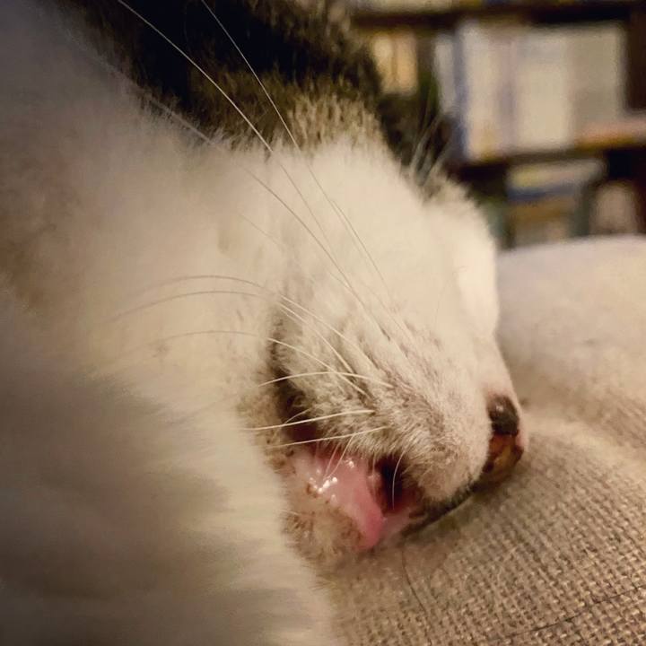 92050159 7f67 4143 a920 bcd2685a5070 1624194769205