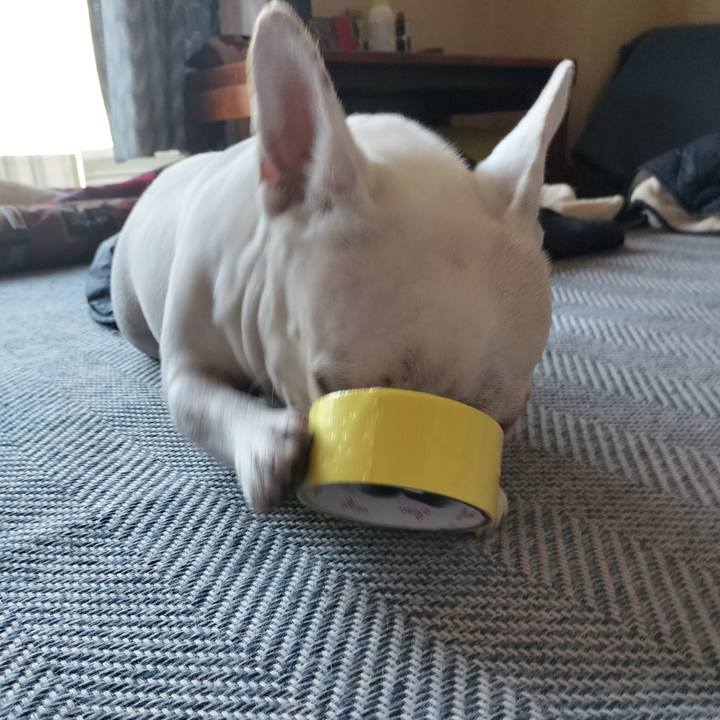 92050d53 befb 4a8a a50d 88468a4a18be 1681857092348