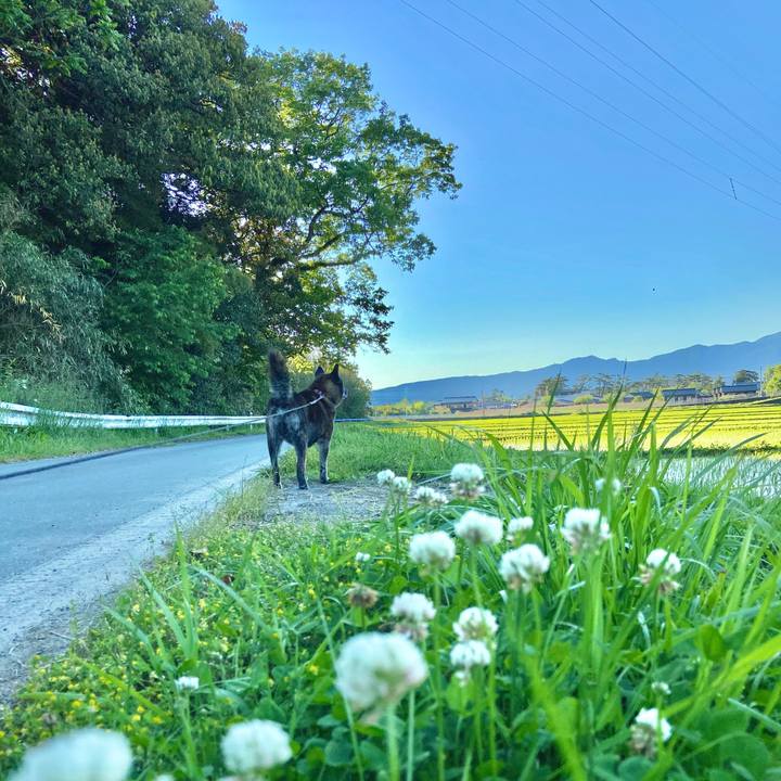 920547ae de9c 4109 b0ff 552db1990581 1590848299572