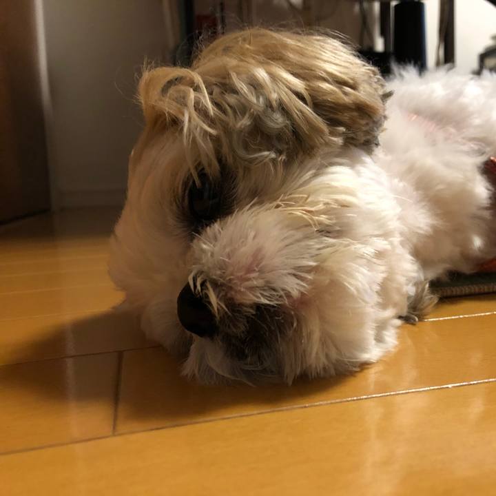 92056c45 1094 4e8e 832b 261711cb4d26 1541109761351