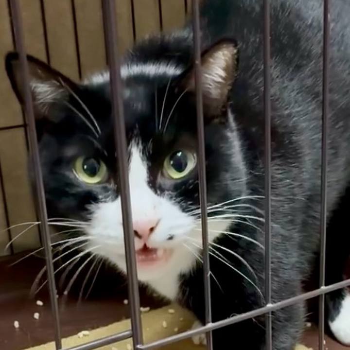 9205878e 2bb0 44fd 9690 afea21a33528 1761894082341