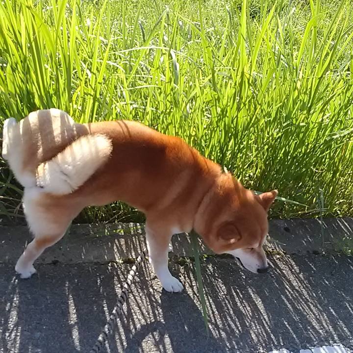 920595ef c837 4629 909d 91f5a3b25a05 1596277160849