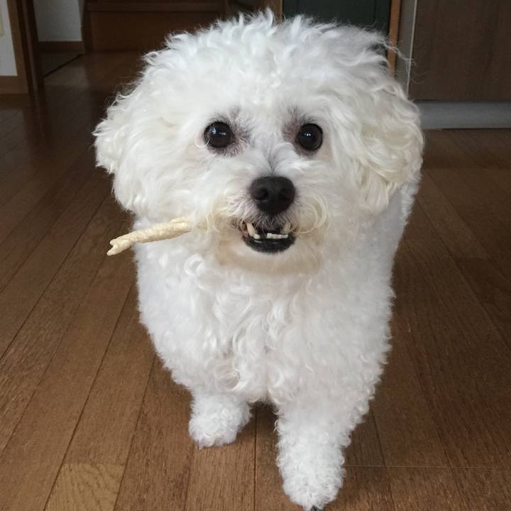 9205bb58 5305 4865 9b0b e60ac144e1a2 1536275037390