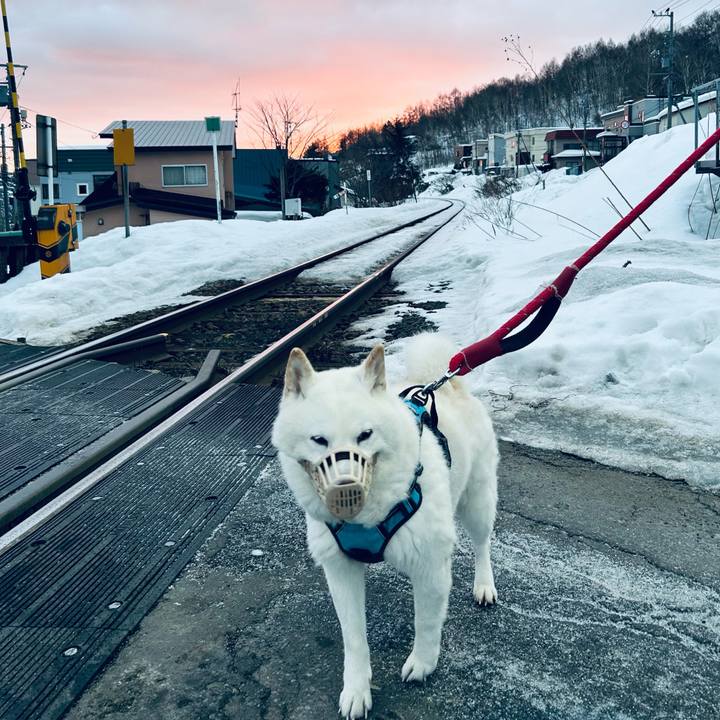 9205e307 c647 473a b1b4 e33419636fc4 1738017022075