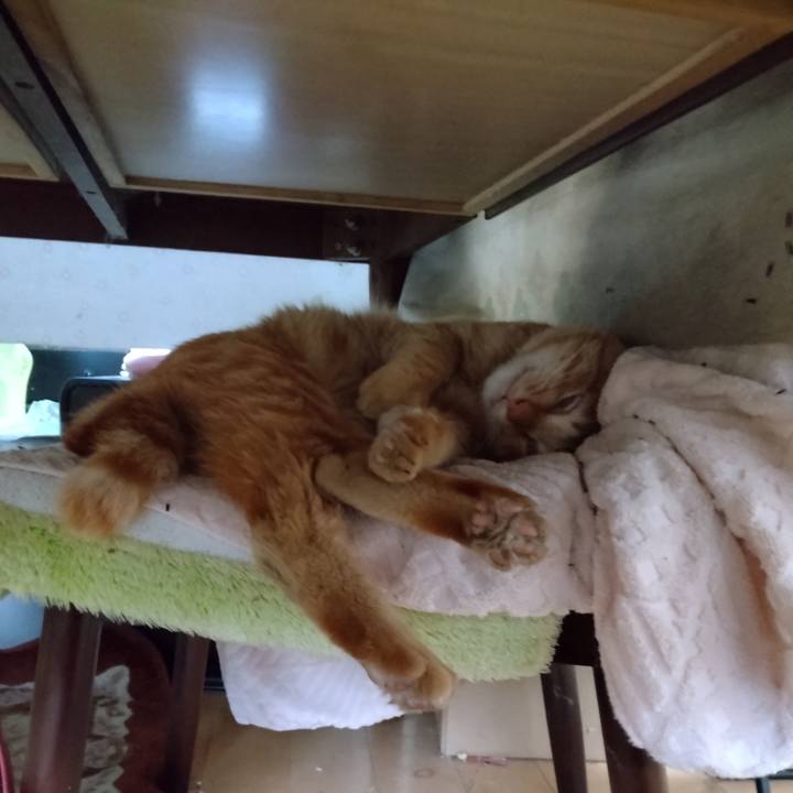 92064e8f de19 42ef a997 0d9227dc1df7 1668468921484