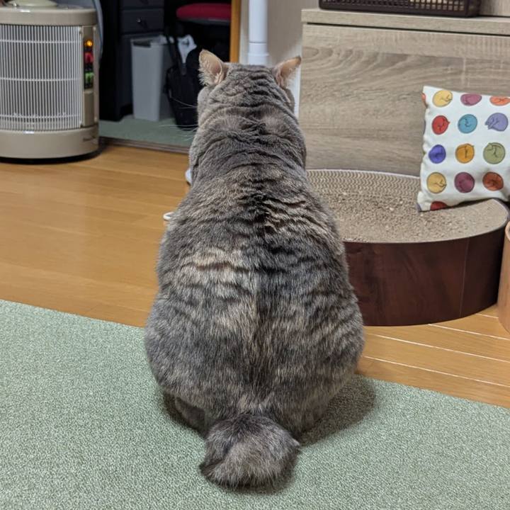 92069687 40c1 4be2 9d87 f94533244bad 1731739319298