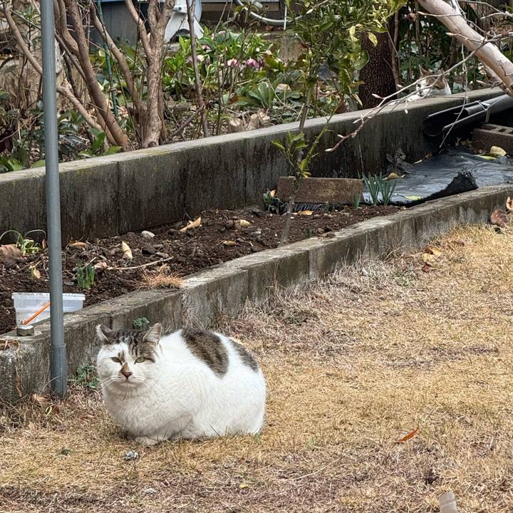 9206b61f 7797 4155 82f7 dfd1002e9946 1772073460723