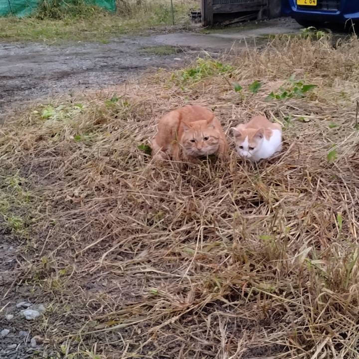 9206b6e4 aa03 4004 9c62 9db672a70df9 1727388558047