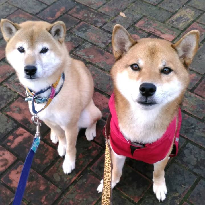 9206fc5f bc24 46a3 a6a7 d3d60f59db0d 1508918721143