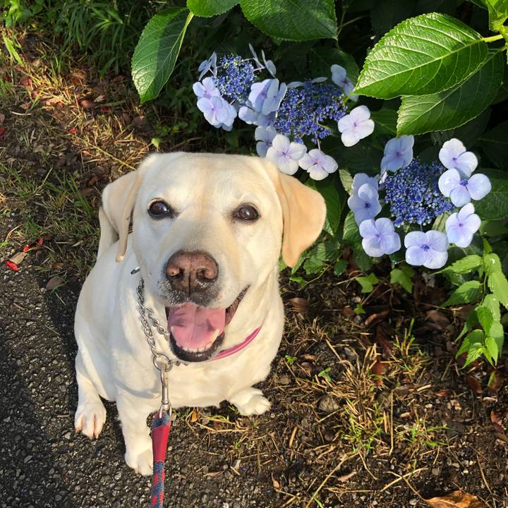 9206fd8f c9f3 40eb bbd4 b5489ea33dd4 1655593821952