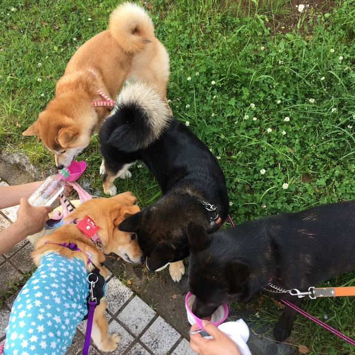 92070acf 54a2 4bbf b122 038fc53b1f68 1527247399613