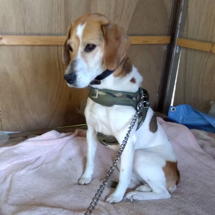 92071946 86ca 47b7 983d 7a5ffe077162 1684764698976