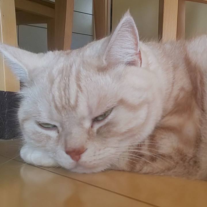 92071b52 ba02 43e1 8344 c77bb42dec2b 1582590779760