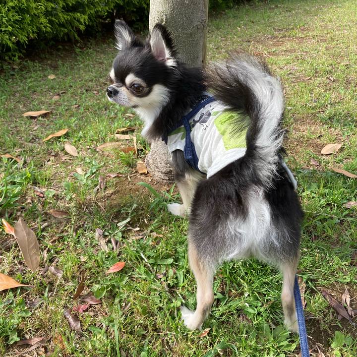 92075594 c044 4210 9889 38e3f859fbd3 1685289287157