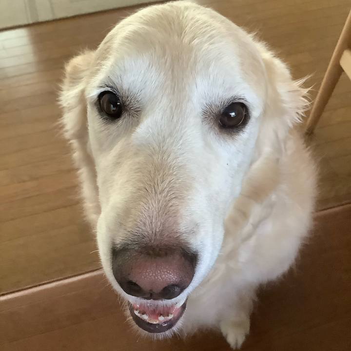 92079a7a 4241 4e18 9faa f8332f89370c 1600380668466