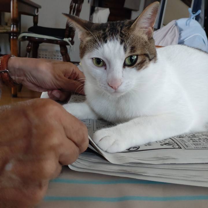 92079e3b b840 4bbe 8d22 1f5c4c4c82f5 1695717551251