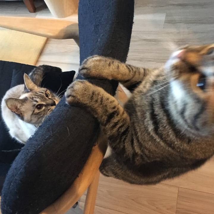 9207a7f0 74be 4057 a877 52c4517f8381 1578190428863