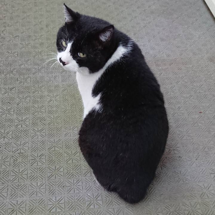 9207f71f e9c2 4bc7 9825 9296afd5058e 1625132638200