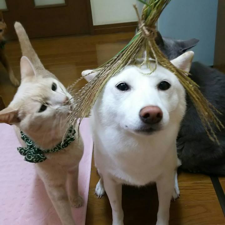 92084596 cb8b 4b8a b5b0 8dec8f1d844c 1537961347190