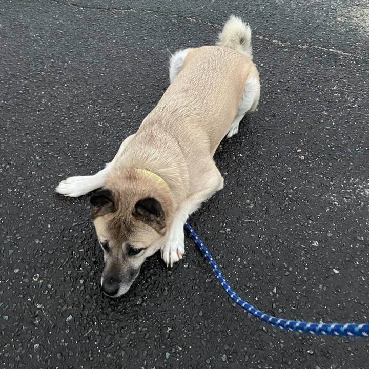 92085c9e 6310 45e5 bc7e da799816eaee 1702382854744