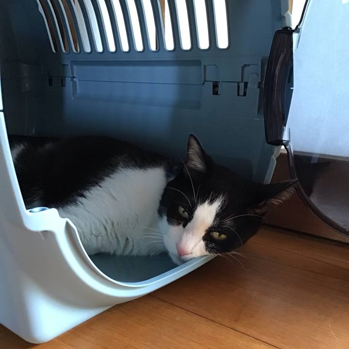 9208796a 37f6 4a23 a8ee 8330fd0e9498 1756279874117