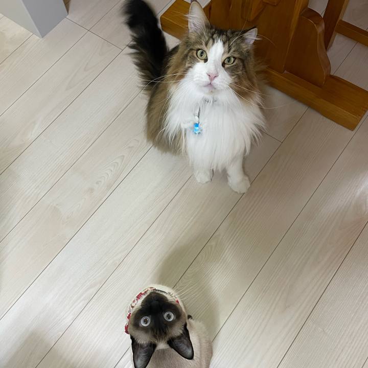 92087fe4 59ce 4530 b7e6 a33b40c7af13 1712172688834