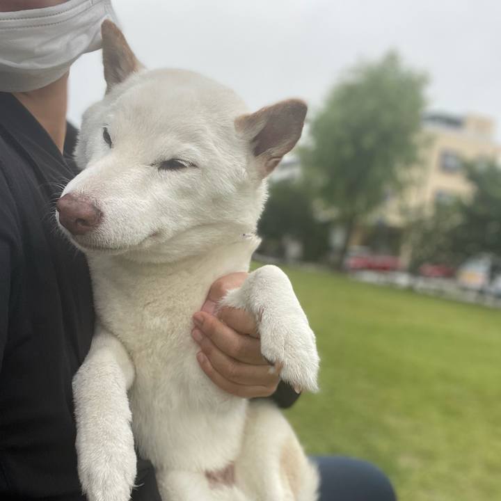 920884bc 229f 4b0c 82f6 d09e9c054185 1653054057529